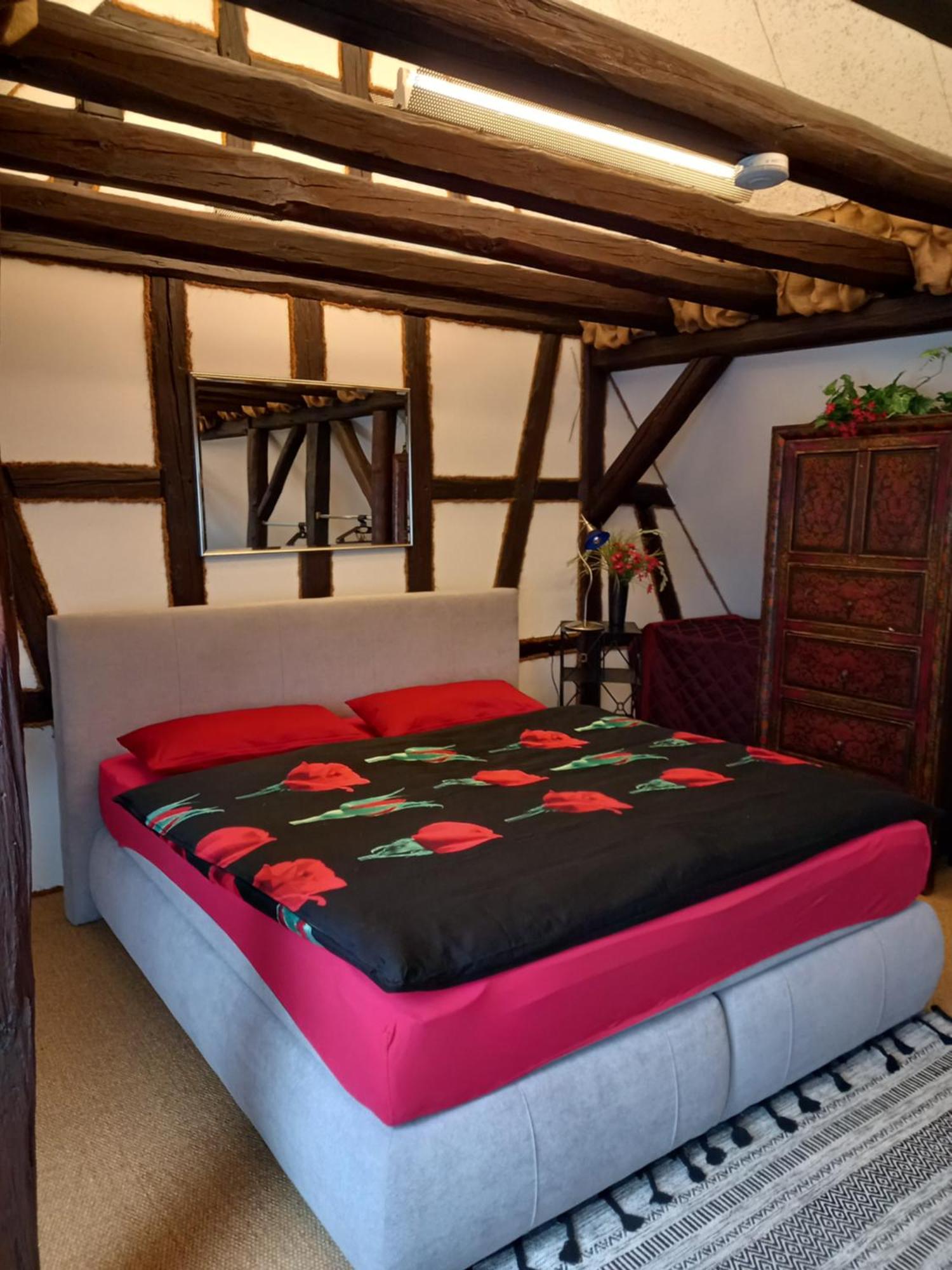 Appartement Loft Ziegelei à Modautal Extérieur photo