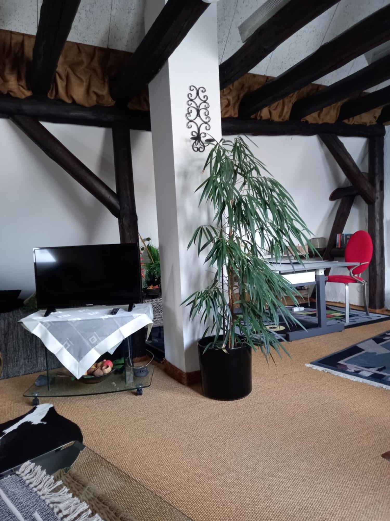 Appartement Loft Ziegelei à Modautal Extérieur photo